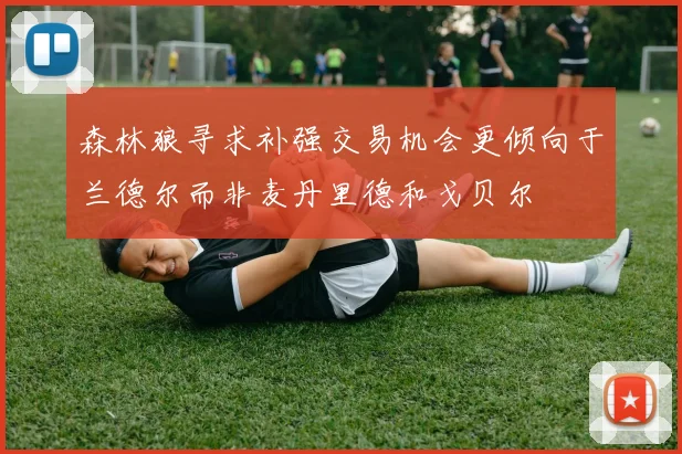 森林狼寻求补强交易机会更倾向于兰德尔而非麦丹里德和戈贝尔